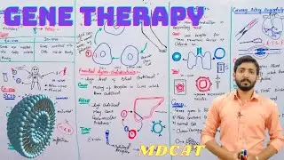 Gene therapy (In vivo and Ex-Vivo) examples | Biology 12th | Chapter 23 | Lecture 12