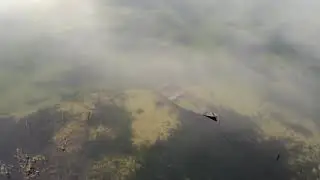 Drone no Rio São Francisco
