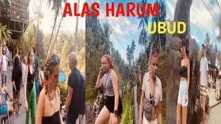 ALAS HARUM‼️TEGALLALANG-UBUD⁉️RAMAI WISATAWAN ASING & DOMESTIK #ubud #alasharum #tegallalang #bali