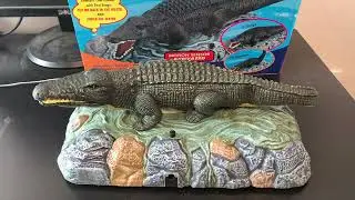 Croc-O-Rock