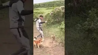 Боевой суслик 