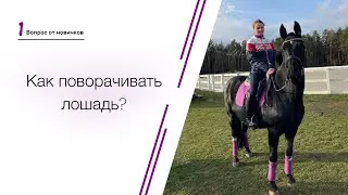 Вопросы от новичков. Как поворачивать лошадь?