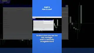 How To Use The Risk Manager EA For Metatrader (Part 2)