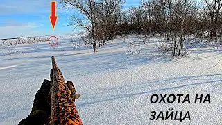 СУПЕР ОХОТА НА ЗАЙЦЕВ ЗАГОНОМ!!! ЗАЙЦЫ В ПОСАДКАХ!!! Я и три Димана / MAX HUNTER
