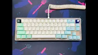 Boardsource The Mark: 65 Build with PBT Islander Keycaps! VOD