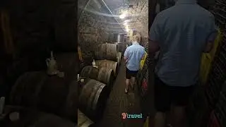 🍷Did you know there is wine in Budapest Hungary?