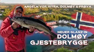 Angeln in Norwegen: Dolmøy Gjestebrygge - Pollack, Dorsch und Köhler satt vor Hitra und Frøya