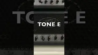 Monster Metal Amp Blind test Results Peavey 6505 Tone E 