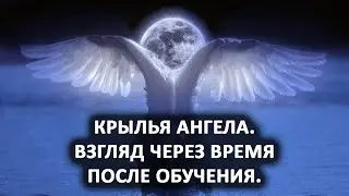 Angel Wings. A look back at the training. Hypnosis Lab.