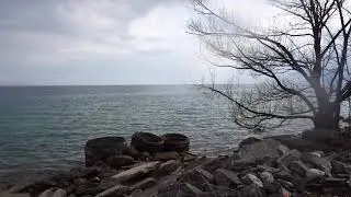 AnthropoScene: Guildwood Shore