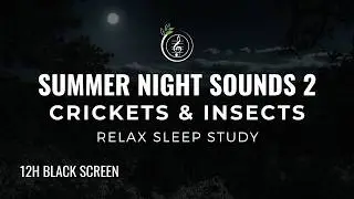 12 Hours of Calming Summer Night Sounds |2| Crickets & Insects for Sleep, Meditation & Relaxation
