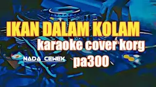 ikan dalam kolam karaoke cover korg pa300 nada cewek