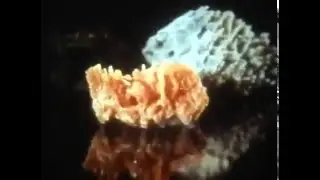 Обучающее видео   Алюминий и его сплавы