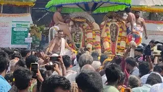 காஞ்சிபுரம் ஏகாம்பரநாதர் கோயில் திருவிழா. #kanchipuramfestival #kanchipuram #kanchisuresh #shivan