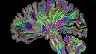 Acute Disorders of Brain Function