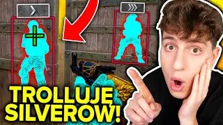 TROLLUJĘ SILVERÓW na WALLHACKU w CSGO