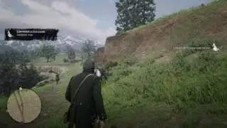 Red Dead Redemption 2 bird crash