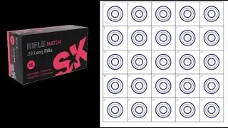 SK RIFLE MATCH 50 Yard Groups - Benchrest Match Conditions - Factory Ruger 10-22