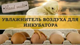 ✔️Как сделать увлажнитель воздуха для инкубатора