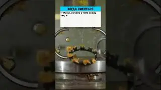 Мама с маленьким сыном моются в бане