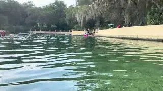 Testing out a cheap underwater housing case I purchased at Salt Springs August 8 2024 2:43pm FLORIDA