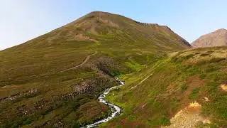 Dalvík Stream