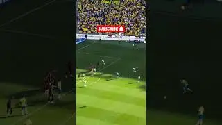Raphinha's Free kick goal for Brazil. #footballshorts #soccer #football