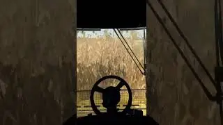 Farming Simulator 22! Mapa BR - 163 Mato grosso do Sul Brasil #games