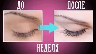 7 правил как отрастить длинные ресницы за неделю!