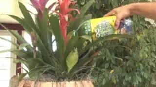 Brighter Living: Terracycle