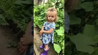 Наша деревня😀#врекомендации #лето2024 #эмилия #деревня