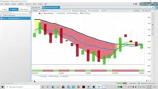 Vantage Point online training