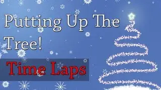 Time Laps - Putting up The Tree!