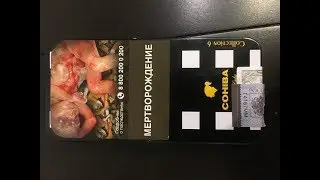 Обзор сигарилл Cohiba Club Limited Edition Collection 6