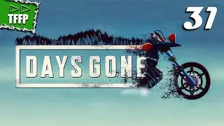 Убить всех ублюдков ►► Days Gone #31