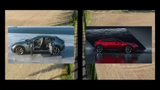 SUPERBIEN | THE FERRARI PUROSANGUE