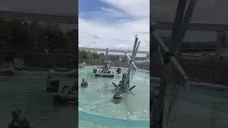 SEA WORLD GOLD COAST #australia #immigration #australianadventures #australiaimmigration #brisbane