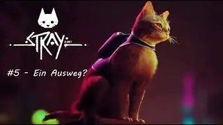 Stray | Part 5 - Ein Ausweg?