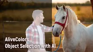 AI-Powered Object Selection in AliveColors