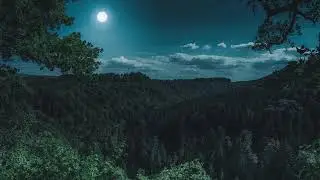 Relaxx deep sleeo music #youtube #trending #relaxsleepmusic #relax