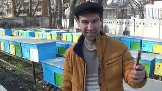 ОМАДСИЗЛИКДАН  ҚУРҚМАНГ !