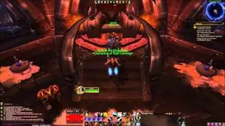 VOLJIN