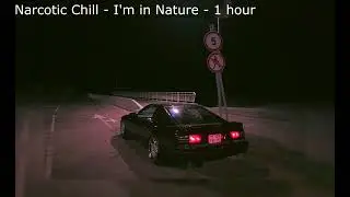 Narcotic Chill - I'm in Nature - 1hour