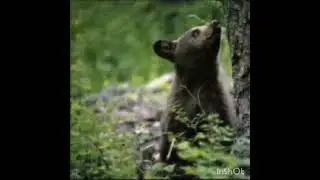 читает Казыкин Максим, СОШ 47, 4 г