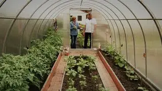 Теплица из поликарбоната