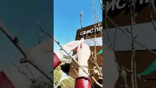 Приезжайте за исполнением желаний!