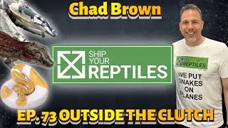 OTC | EP 73 | CHAD BROWN OF SHIP YOUR REPTILES | WHY YOU SHOULD GO GREEN WHEN SHIPPING YOUR EXOTICS