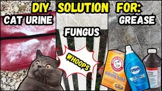DIY Easy Cat Urine DEODORIZER