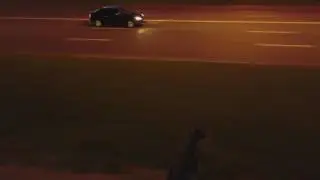 DJI 0011
