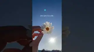 Saajan Ve...💙 Lyrical World | Darshan Raval | WhatsApp Status